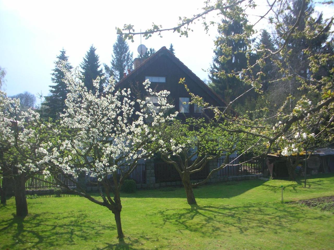 Conifer Idyllicprague Vakantiehuis