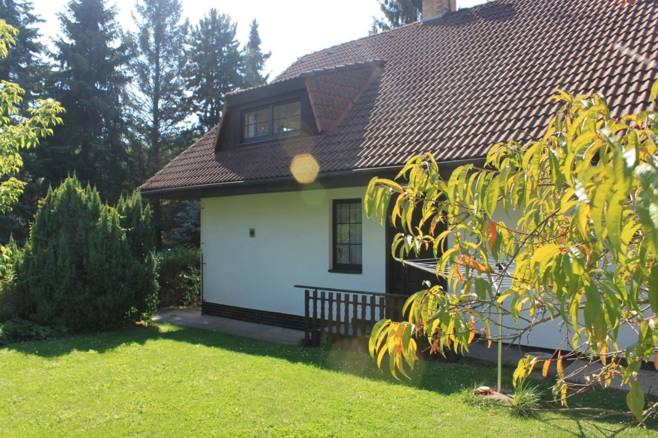 Conifer Idyllicprague Hébergement de vacances *